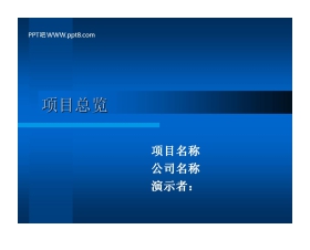 项目进展情况工作汇报PPT模板