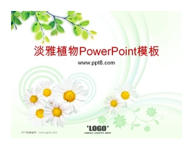 淡雅菊花茶树背景植物PowerPoint模板下载