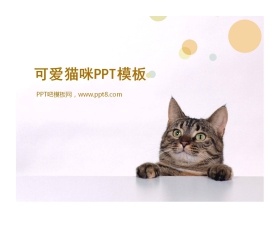 可爱猫咪幻灯片模板下载