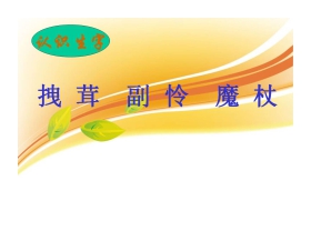 《小木偶的故事》PPT教学课件下载