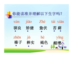 《松鼠》PPT课件下载2