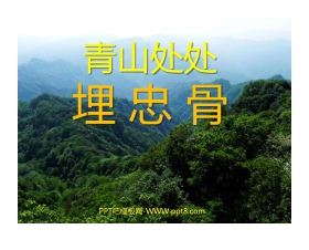 《青山处处埋忠骨》PPT课件下载4