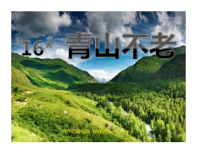 《青山不老》PPT课件下载