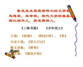 《我的伯父鲁迅先生》PPT课件下载4