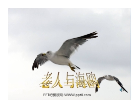 《老人与海鸥》PPT课件下载3