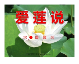 《爱莲说》PPT课件2