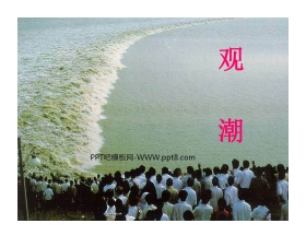 《观潮》PPT课件2
