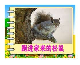 《跑进家来的松鼠》PPT课件下载