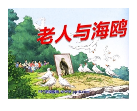 《老人与海鸥》PPT课件下载4