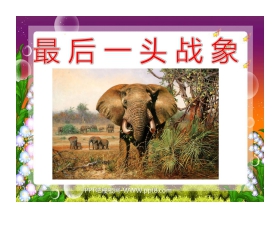 《最后一头战象》PPT课件下载