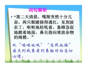 《最后一头战象》PPT课件下载2