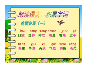《最后一头战象》PPT课件下载3
