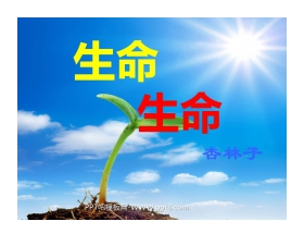 《生命生命》PPT课件2