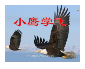 《小鹰学飞》PPT课件