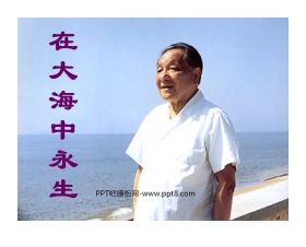 《在大海中永生》PPT课件