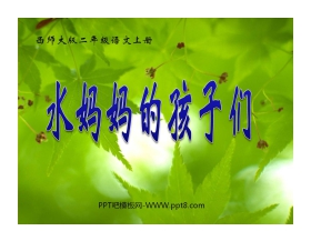 《水妈妈的孩子们》PPT课件