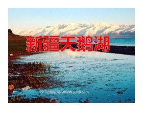 《新疆天鹅湖》PPT课件