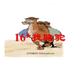 《找骆驼》PPT教学课件下载4