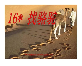 《找骆驼》PPT教学课件下载5