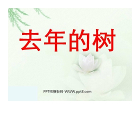 《去年的树》PPT教学课件下载5