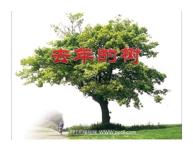 《去年的树》PPT教学课件下载6
