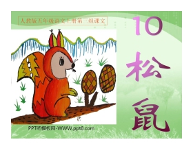 《松鼠》PPT课件下载5