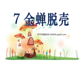 《金蝉脱壳》PPT课件6