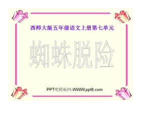 《蜘蛛脱险》PPT课件3