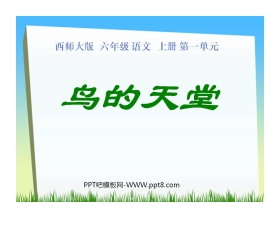 《鸟的天堂》PPT课件