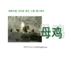 《母鸡》PPT课件