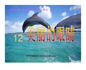 《美丽的眼睛》PPT课件3