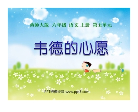 《韦德的心愿》PPT课件