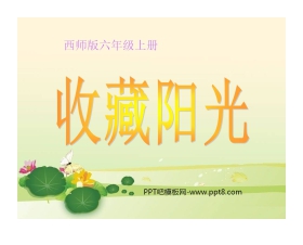 《收藏阳光》PPT课件3