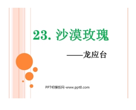 《沙漠玫瑰》PPT课件2