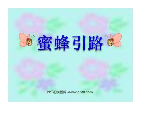 《蜜蜂引路》PPT课件2