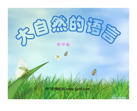 《大自然的语言》PPT课件5