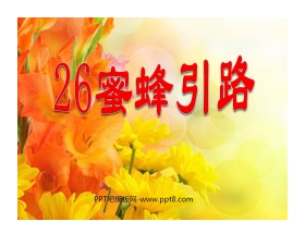 《蜜蜂引路》PPT课件4