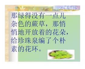 《珍珠泉》PPT课件
