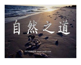 《自然之道》PPT课件5