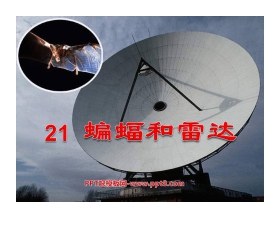 《蝙蝠和雷达》PPT课件3