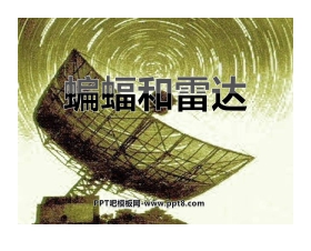 《蝙蝠和雷达》PPT课件4