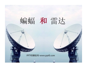《蝙蝠和雷达》PPT课件5
