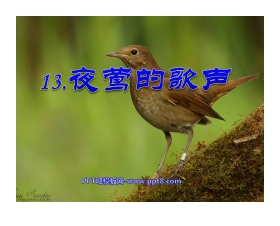 《夜莺的歌声》PPT课件3