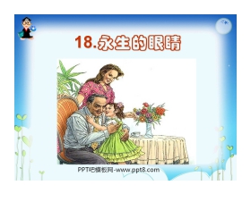 《永生的眼睛》PPT课件4