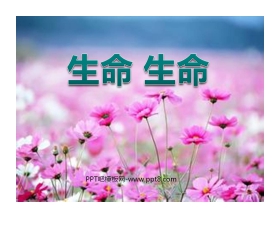《生命生命》PPT课件3