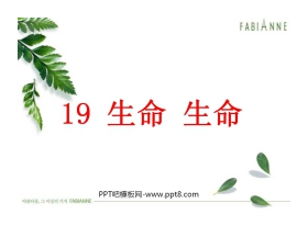 《生命生命》PPT课件4
