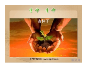 《生命生命》PPT课件6