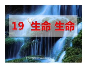 《生命生命》PPT课件7