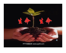 《生命生命》PPT课件8