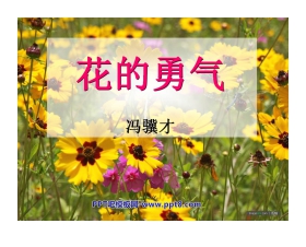 《花的勇气》PPT课件4